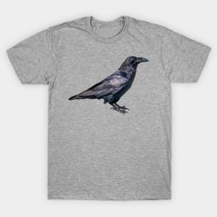 Raven T-Shirt